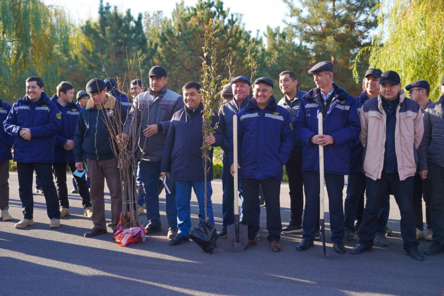 Yashil makon umummilliy loyihasi dasturi ijrosi ta&#039;minlandi